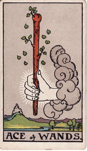 ウェイト版タロット「ワンドのエース」1909年原画